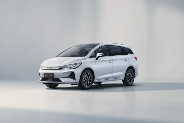 BYD M6